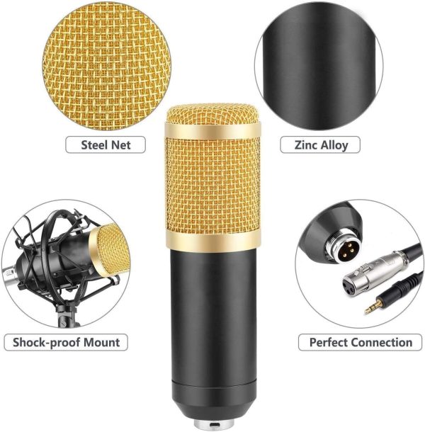 Professional Condenser Microphone