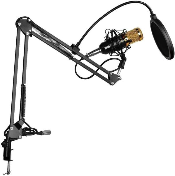 Professional Condenser Microphone