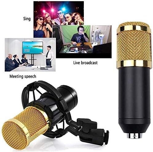 Professional Condenser Microphone