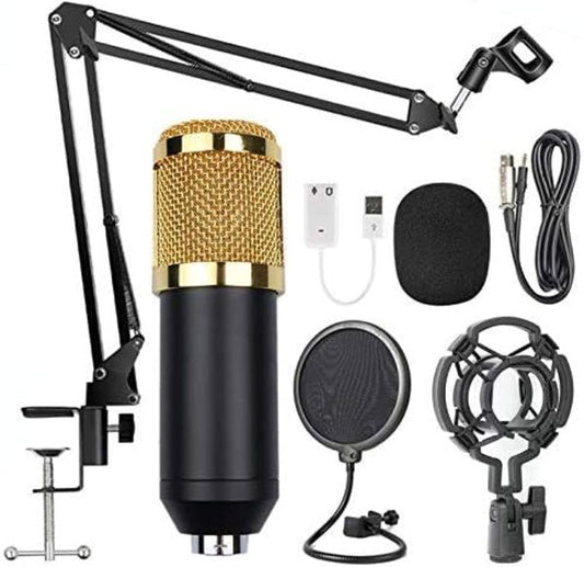 Professional Condenser Microphone